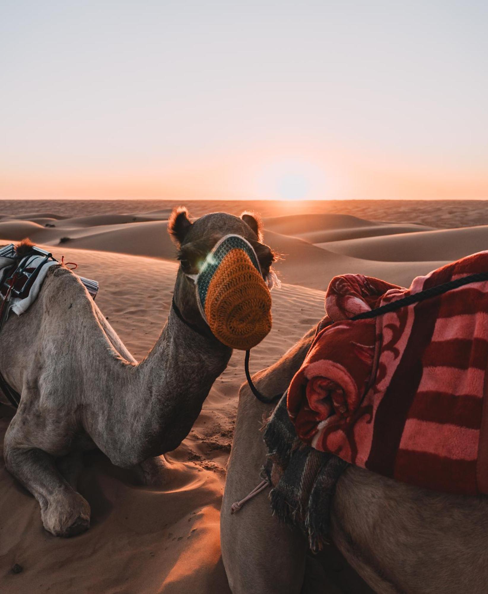 Hamood Desert Private Camp Al Wasil Exterior photo